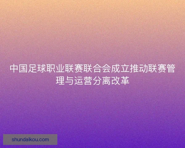中国足球职业联赛联合会成立推动联赛管理与运营分离改革