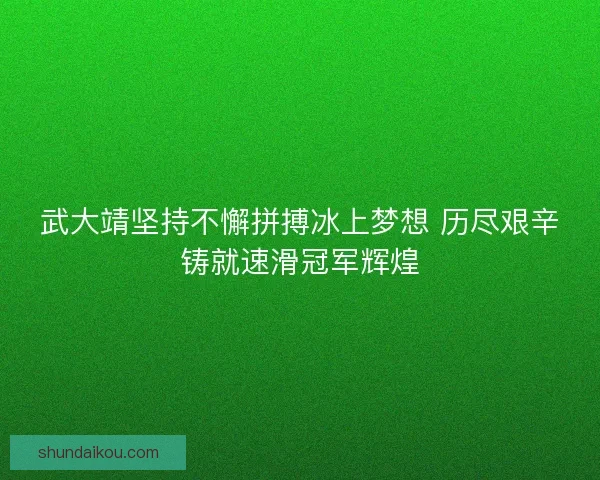 武大靖坚持不懈拼搏冰上梦想 历尽艰辛铸就速滑冠军辉煌